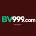BV999 Game
