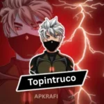 Topintruco