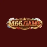 M66 Game
