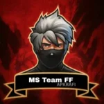 MS Team FF